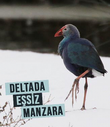 İşte eşsiz manzarasıyla Kızılırmak Deltası