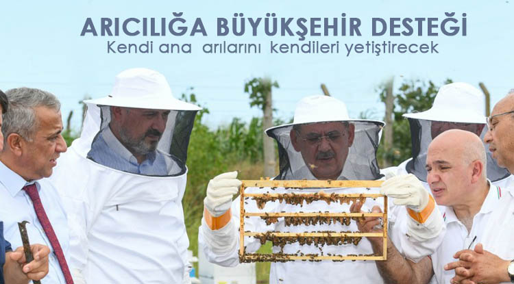 Arıcılık ekonomisine Büyükşehir desteği