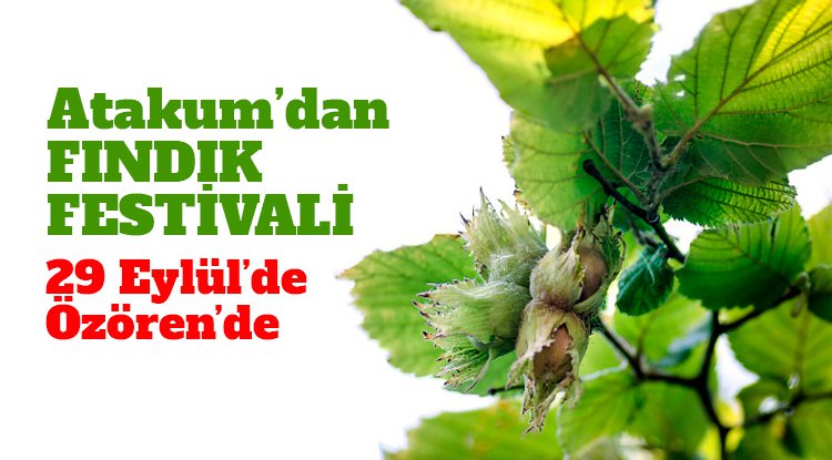 Atakum Belediyesi 1. Fındık Festivali başlıyor