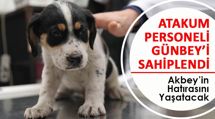 Atakum Belediyesi minik Günbey'i sahiplendi