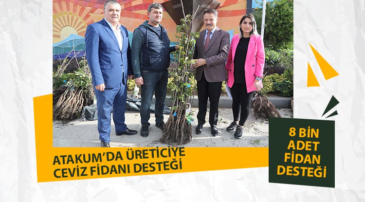 Atakum’da üreticiye ceviz fidanı desteği