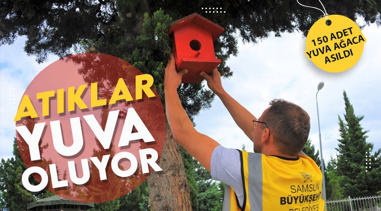 Atıklar kuşlara yuva oldu
