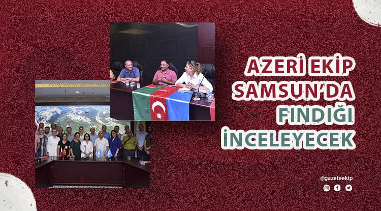 Azeri ekip Samsun'da fındığı inceleyecek