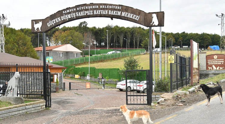 Bacağı iyileşti, ancak gözü görmüyor