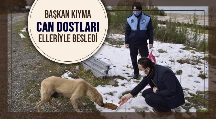 Başkan, can dostları eliyle besledi