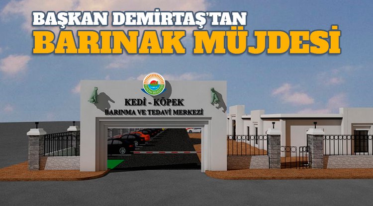 Başkan Demirtaş'tan hayvanseverlere barınak müjdesi