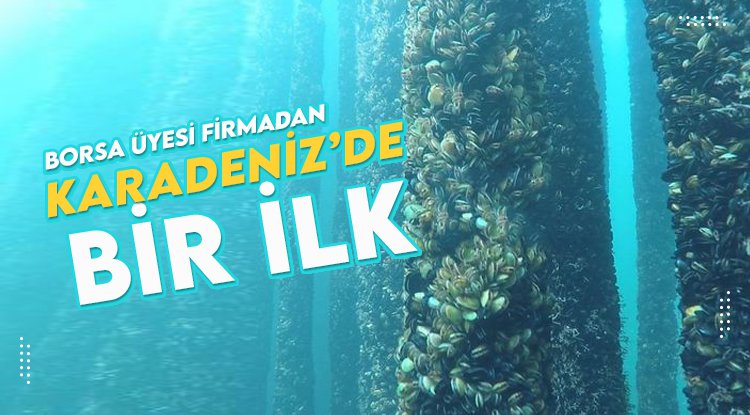 Borsa üyesi firma Karadeniz’de bir ilke imza attı