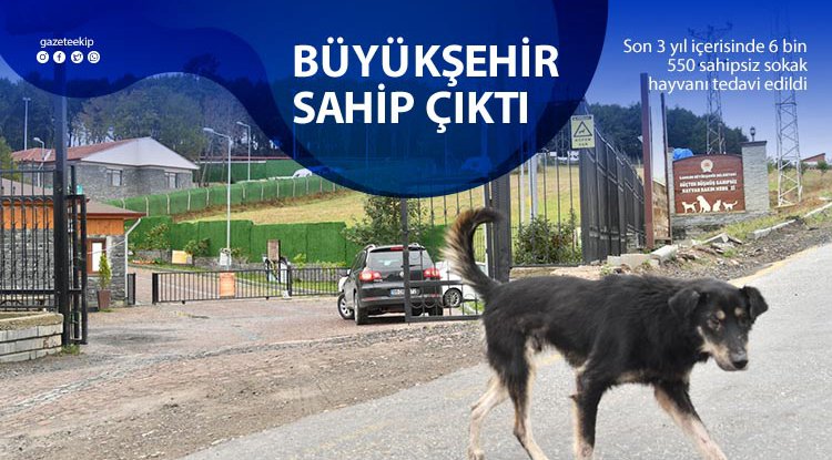 Büyükşehir onlara sahip çıktı