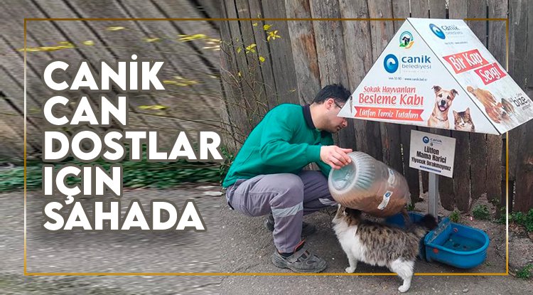 Canik Belediyesi Can Dostlar için sahada