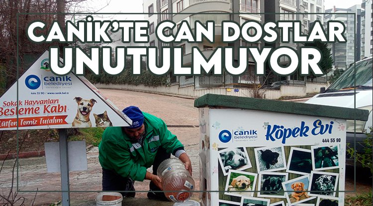 Canik Belediyesi can dostları yalnız bırakmıyor