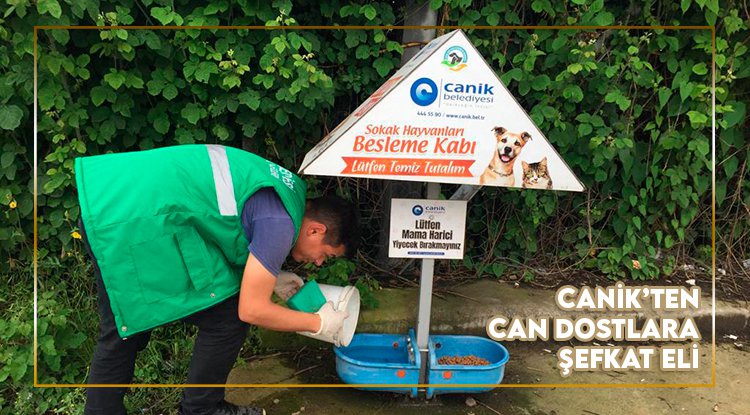 Canik Belediyesi can dostların yanında