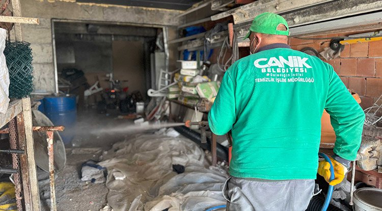 Canik Belediyesi'nden Kokarca mücadelesi