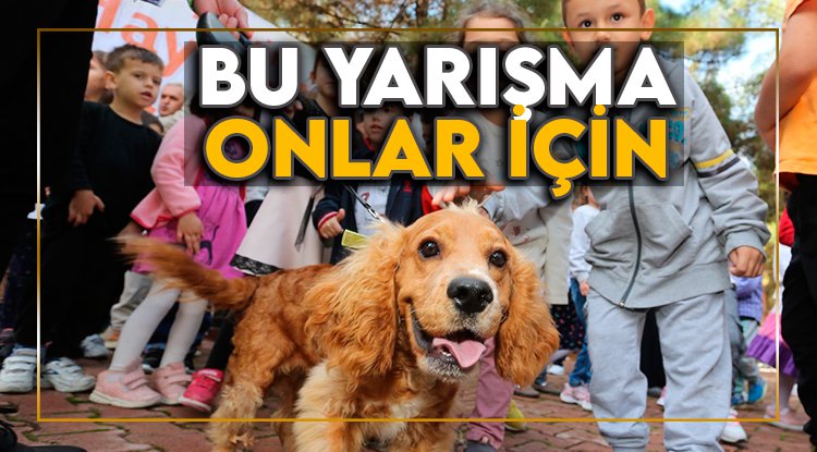 Canik 'Can Dostlar' için fotoğraf yarışması