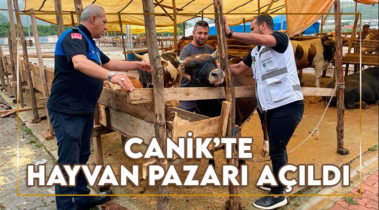 Canik’te 'Hayvan Pazarı' açıldı