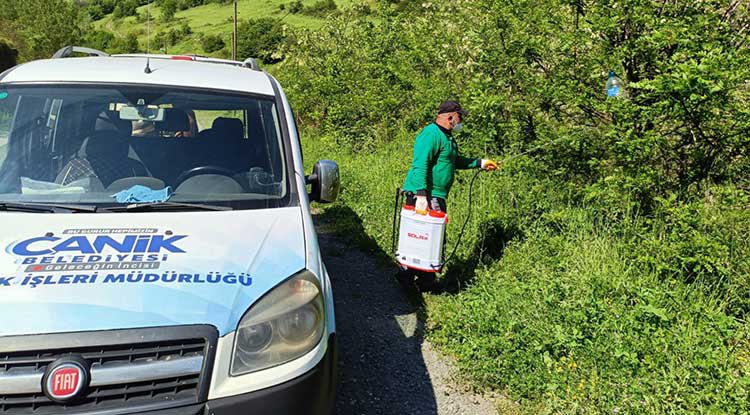 Canik'te Kokarca'ya Karşı Mücadelede Atak