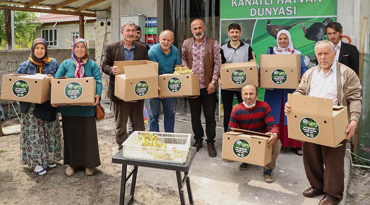 Çarşamba'da ilk kazlar teslim edildi