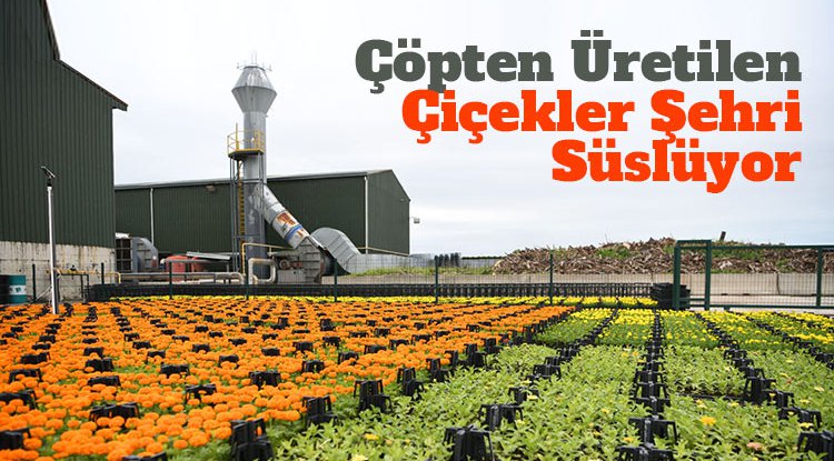 Çöpten üretilen çiçekler şehri süslüyor