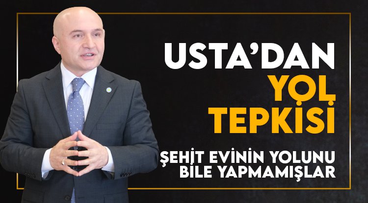Erhan Usta: Şehit evine giden yolu bile yapmamışlar