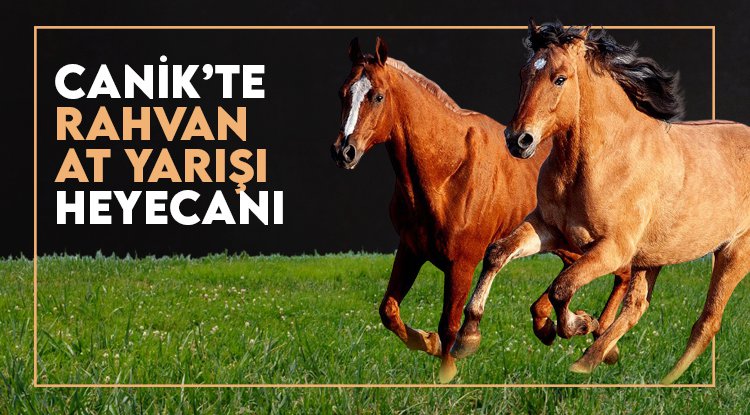 Heybetli Canik Atları sahneye çıkıyor