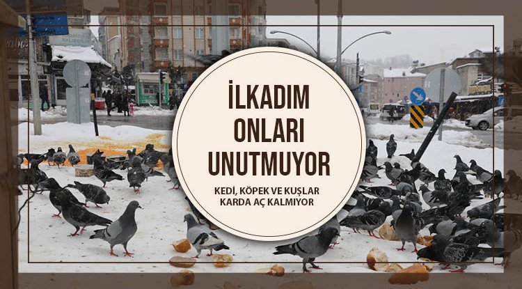 İlkadım'da can dostlar unutulmuyor