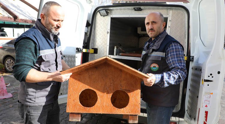 İlkadım'dan Kedi Evleri