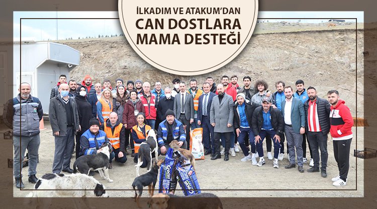 İlkadım ve Atakum’dan sokak hayvanlarına mama desteği