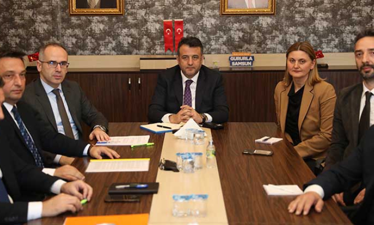 Kahverengi Kokarca için toplandılar