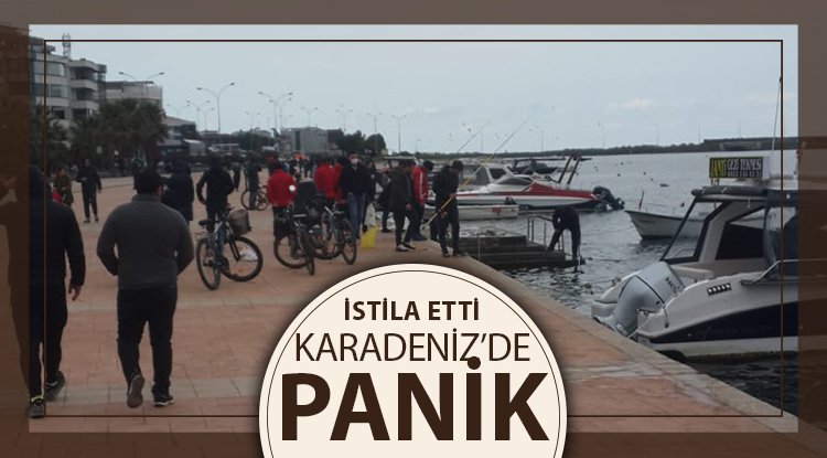 Karadeniz'e İsrail Sazanı tehdidi