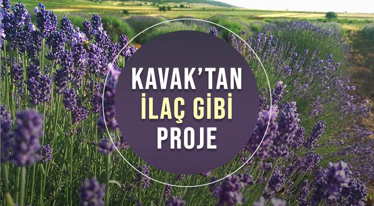 Kavak Belediyesi'nden ilaç gibi proje