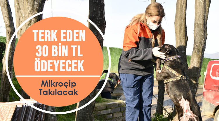 Köpeğini terk eden 30 bin TL ödeyecek