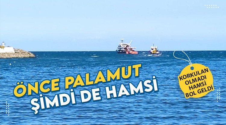 Önce palamut, şimdi de hamsi… Fiyatlar yarıya düştü, tezgahlar canlandı