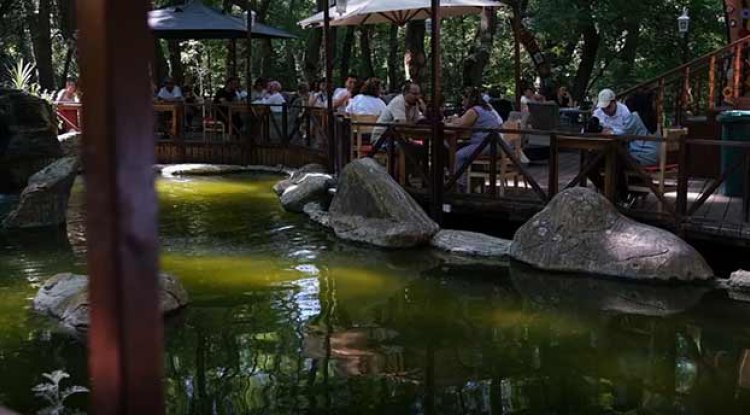 Samsun'da Ata Cafe’ye ziyaretçi akını