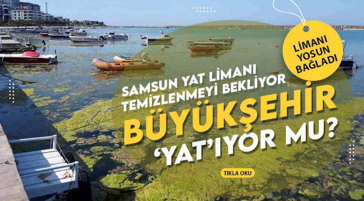 Samsun'da Büyükşehir'e 'yosun' tepkisi