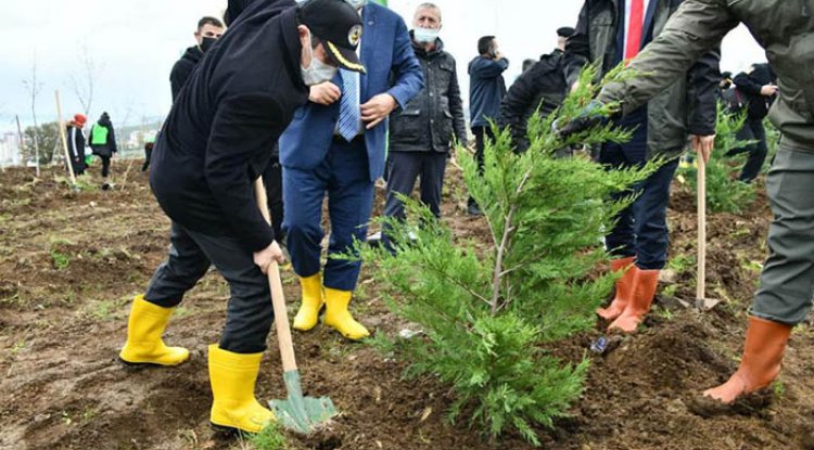 Samsun’da fidanlar toprakla buluştu