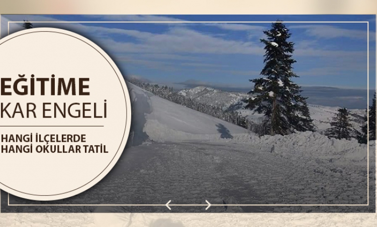 Samsun'da hangi ilçelerde okullar tatil?