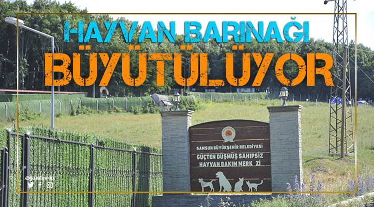 Samsun'da Hayvan Barınağı büyütülüyor