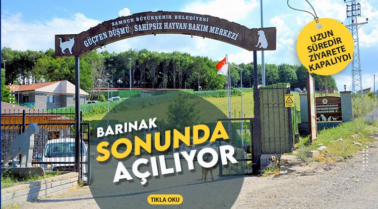 Samsun'da Hayvan Barınağı nihayet ziyarete açılıyor