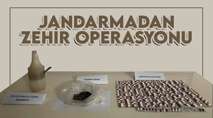 Samsun'da jandarmadan zehir operasyonu