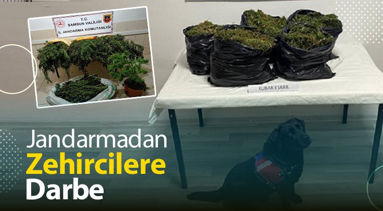 Samsun'da Jandarmadan zehircilere darbe