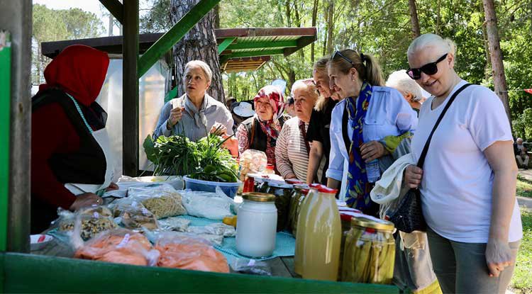 Samsun'da Ot Yemekleri Festivali başladı