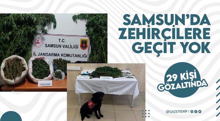 Samsun'da zehircilere geçit yok: 29 gözaltı