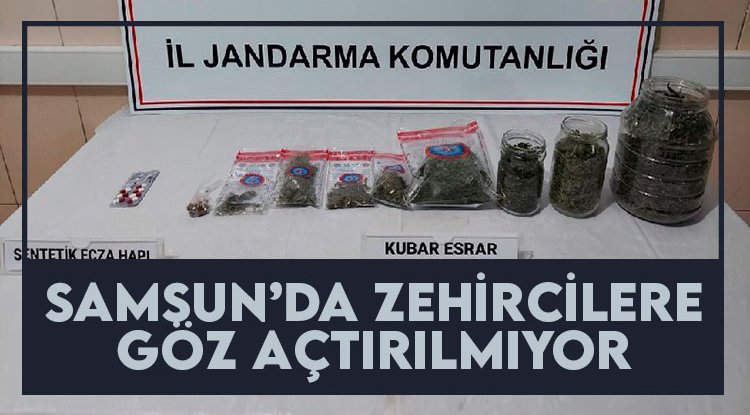 Samsun'da zehircilere göz açtırılmıyor