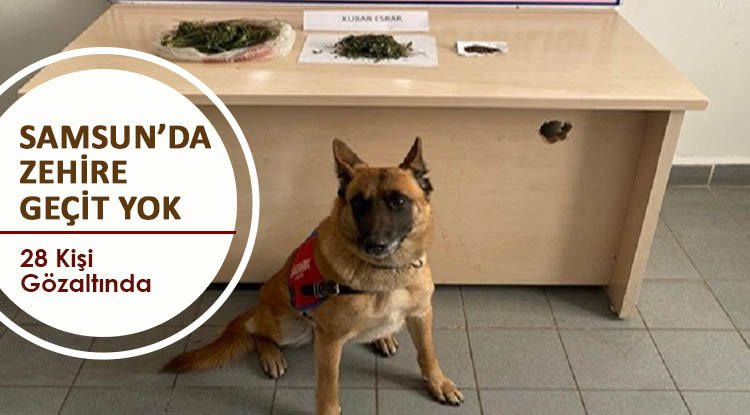Samsun'da zehire geçit yok: 28 kişi gözaltında