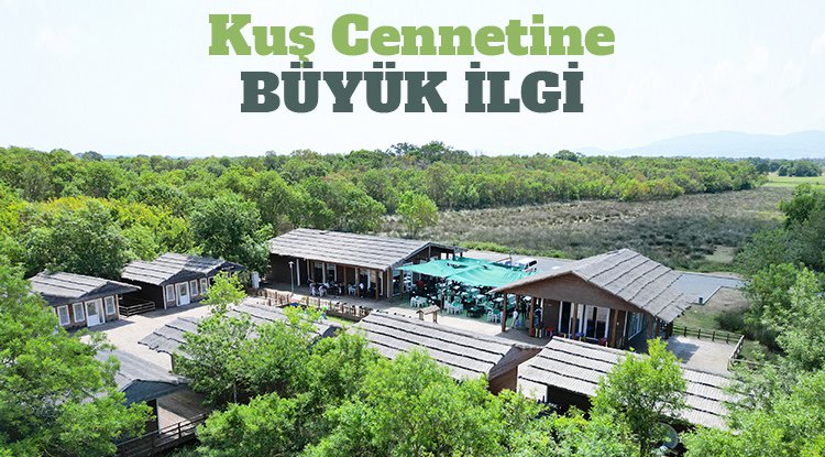 Samsun Kuş Cenneti'ne ilgi arttı