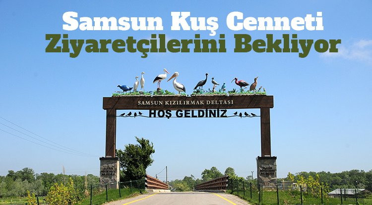 Samsun Kuş Cenneti ziyaretçilerini bekliyor