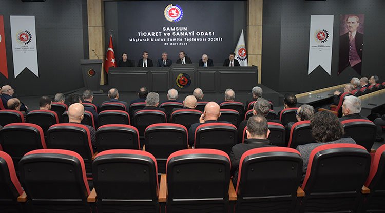 Samsun TSO'da Gündem, Sektörlerin Sorunları