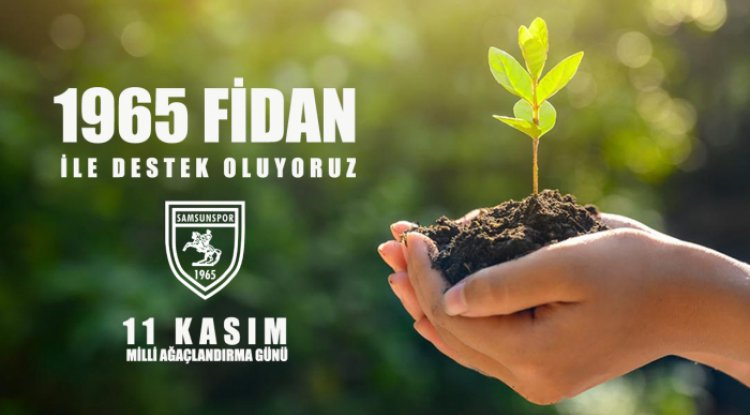 Samsunspor'dan 1965 fidan