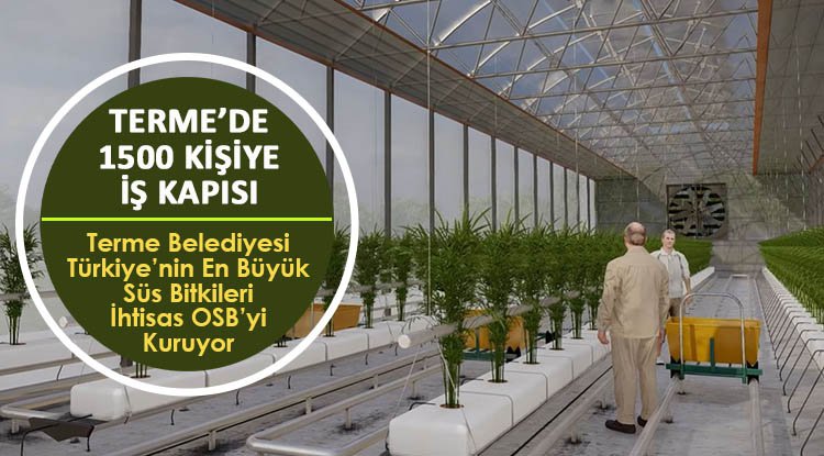 Terme'de bin 500 kişiye iş kapısı açılıyor